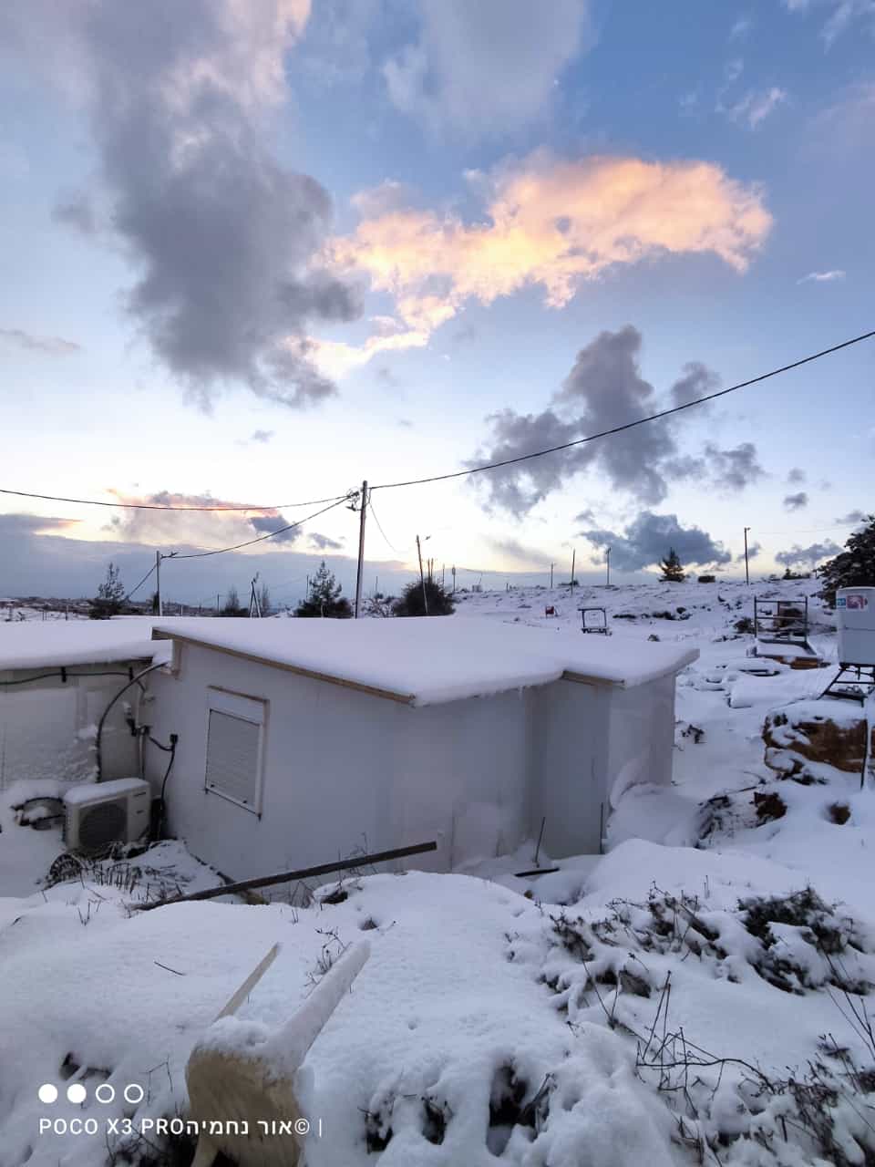 (צילום: אור נחמיה אהרונוב)